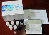 LTC4说明书 人白三烯C4ELISA试剂盒厂家——上海劲马实验设备配件产品介绍